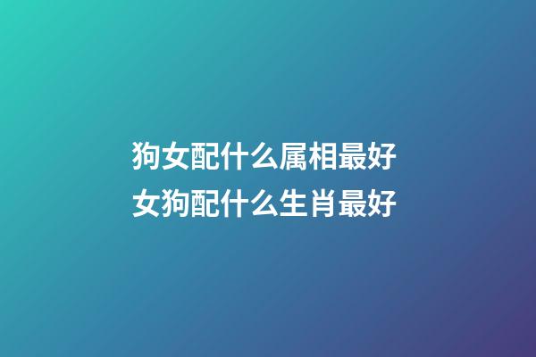 狗女配什么属相最好 女狗配什么生肖最好